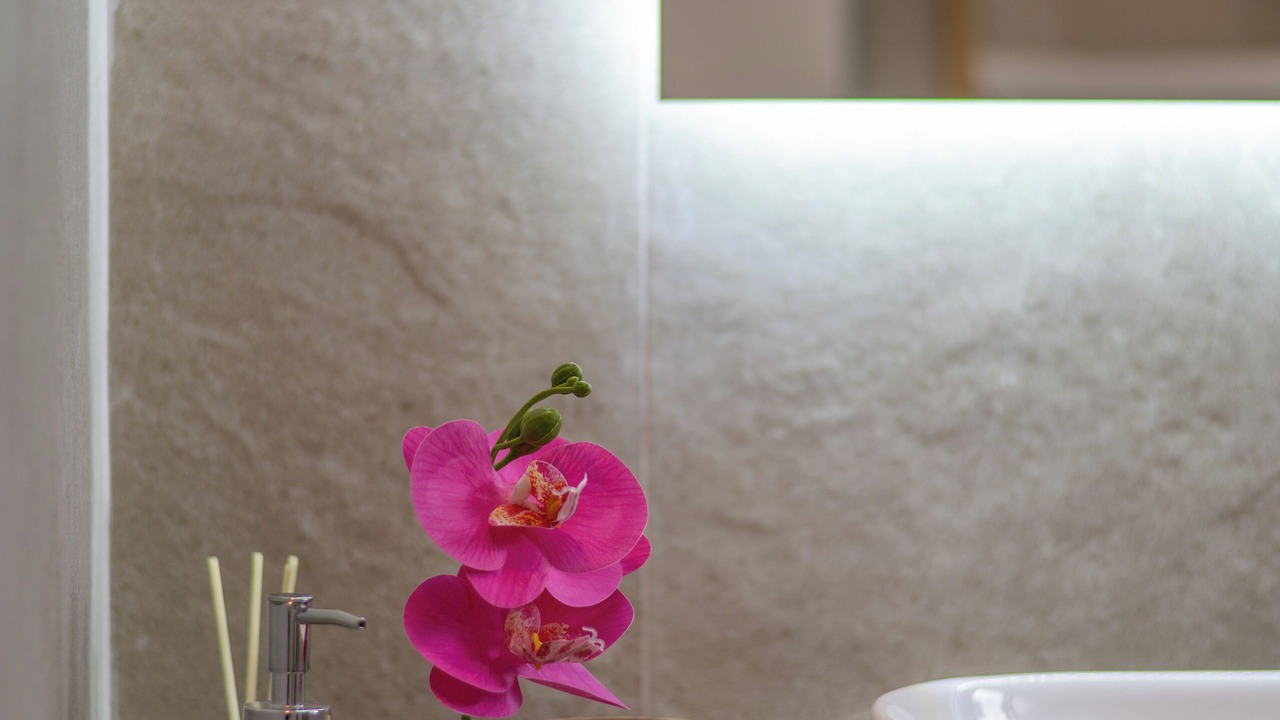 Photo of Bathroom in Sane