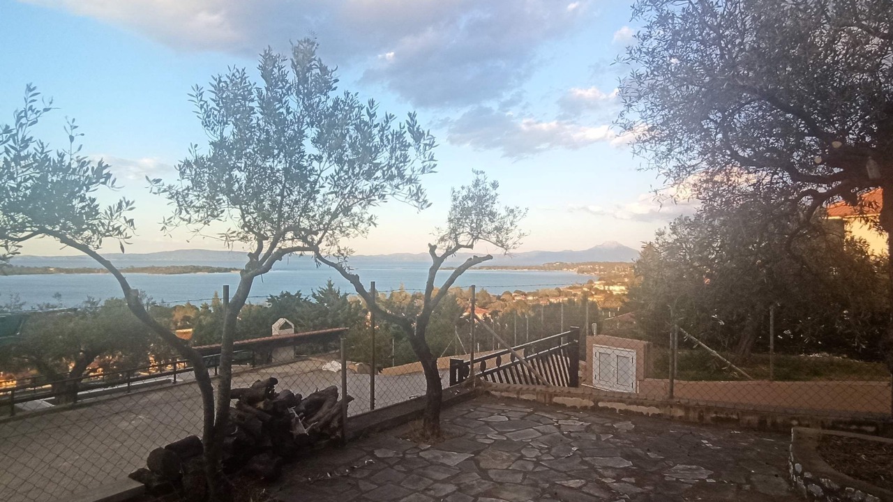 Photo of Others in Elia