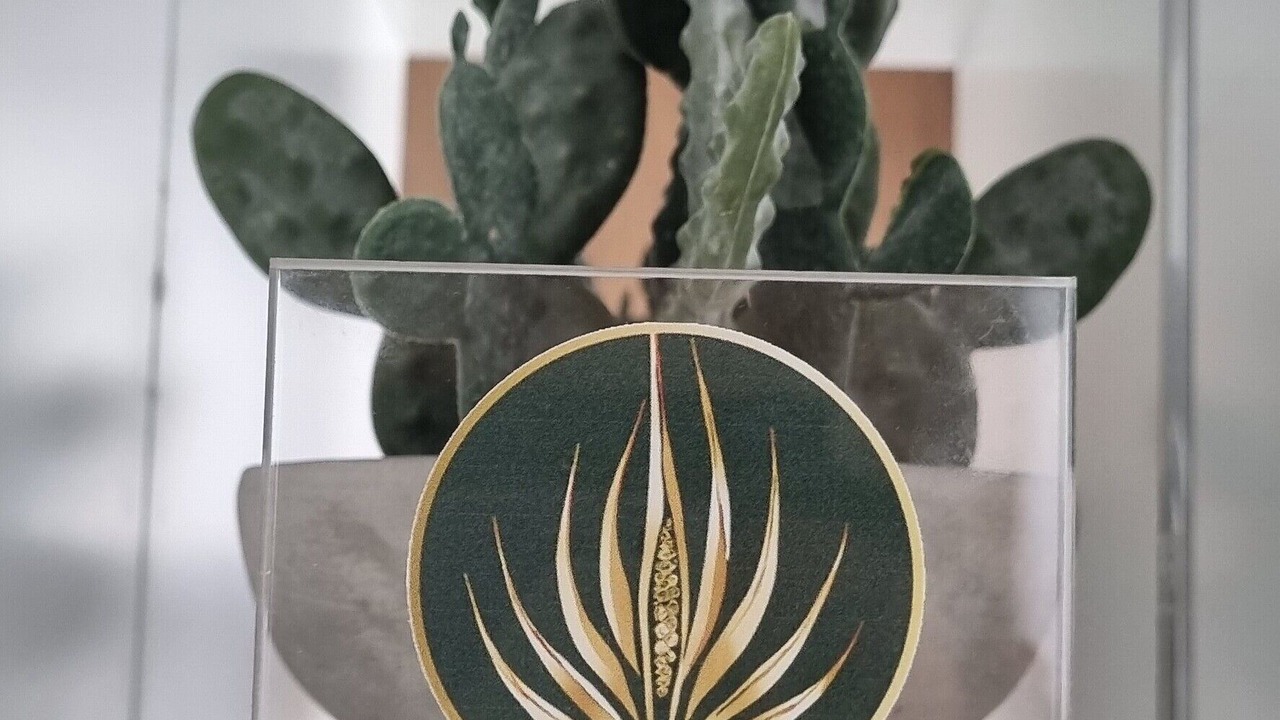 Photo of Others in Nea Alikarnassos