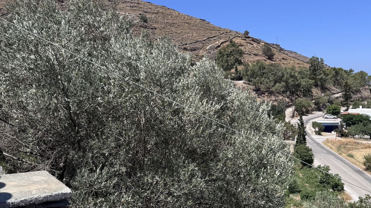 Photo of Others in Pisses