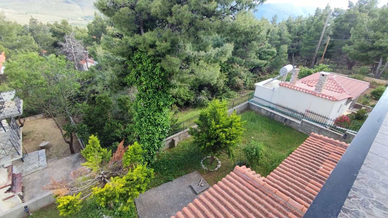 Photo of Outdoor in Almiros