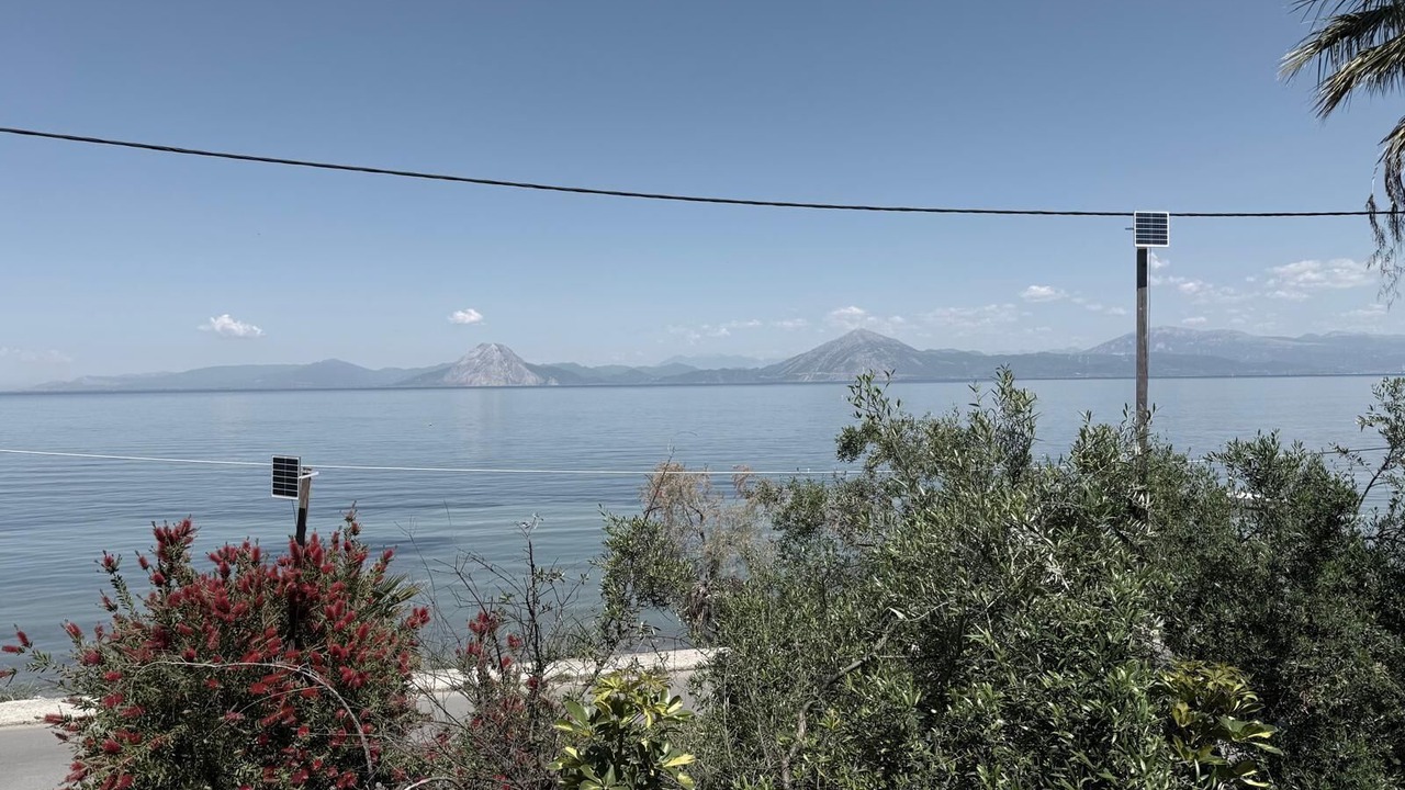 Photo of Others in Patras