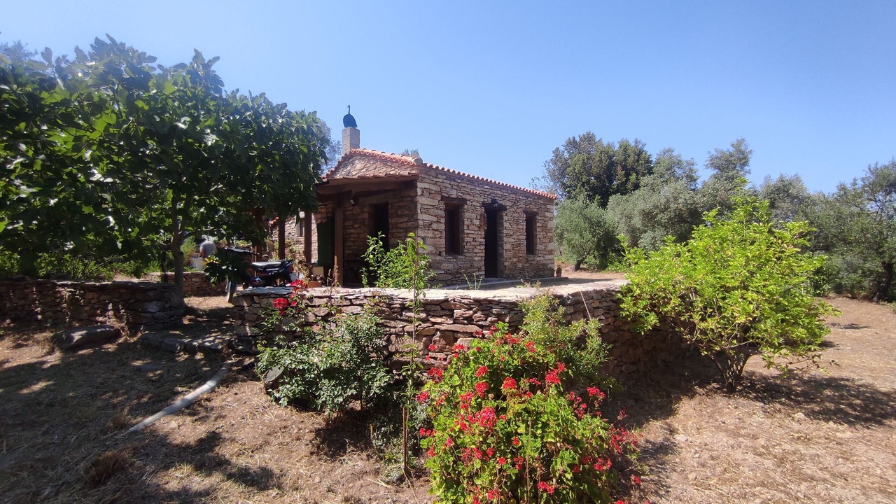Photo of Outdoor in Raches