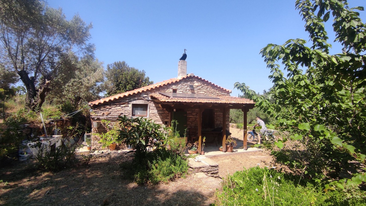 Photo of Outdoor in Raches