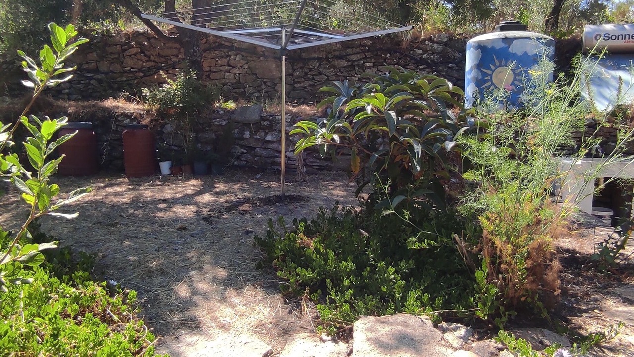 Photo of Outdoor in Raches