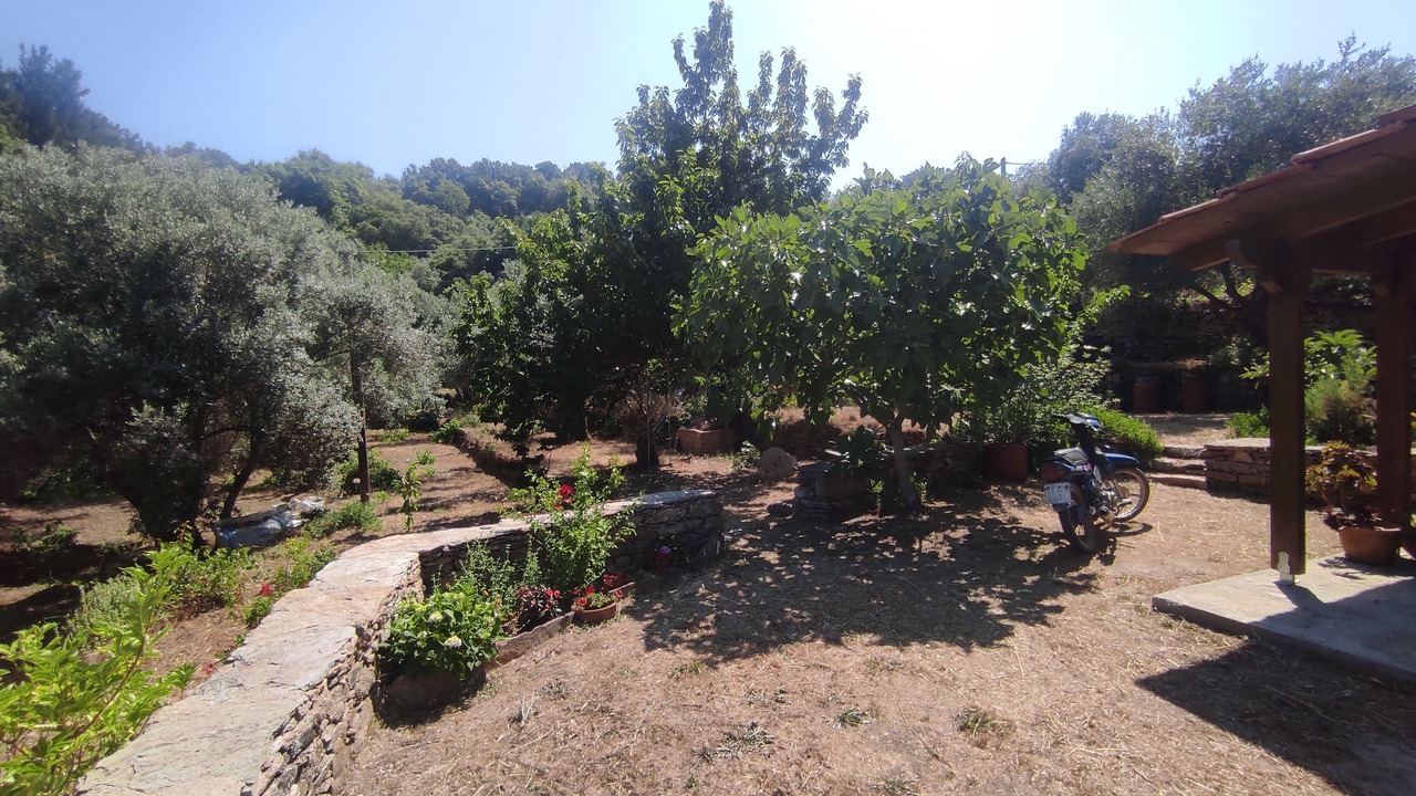 Photo of Outdoor in Raches