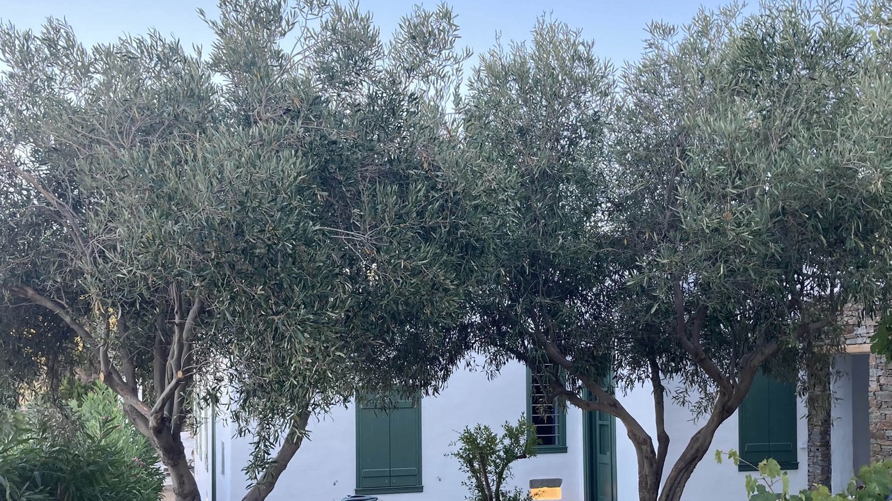 Photo of Outdoor in Apollonia