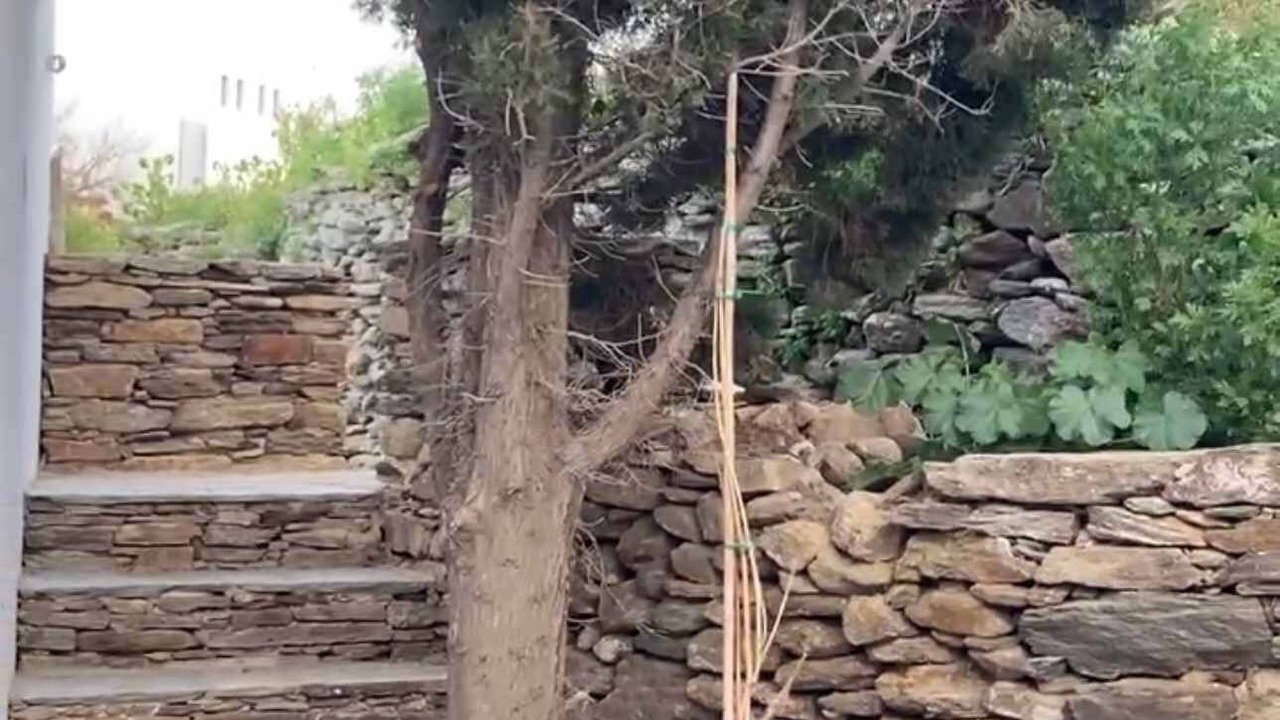 Photo of Outdoor in Apollonia
