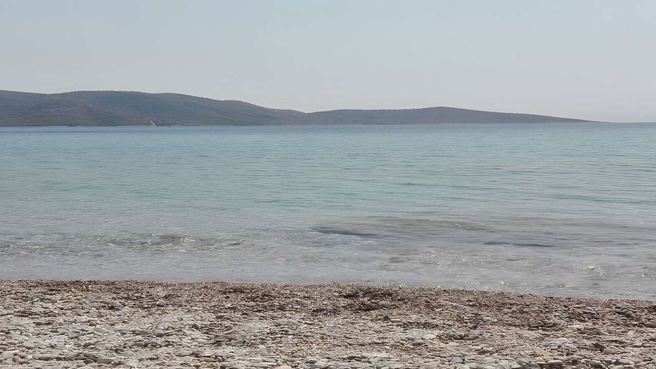 Photo of Others in Salamis