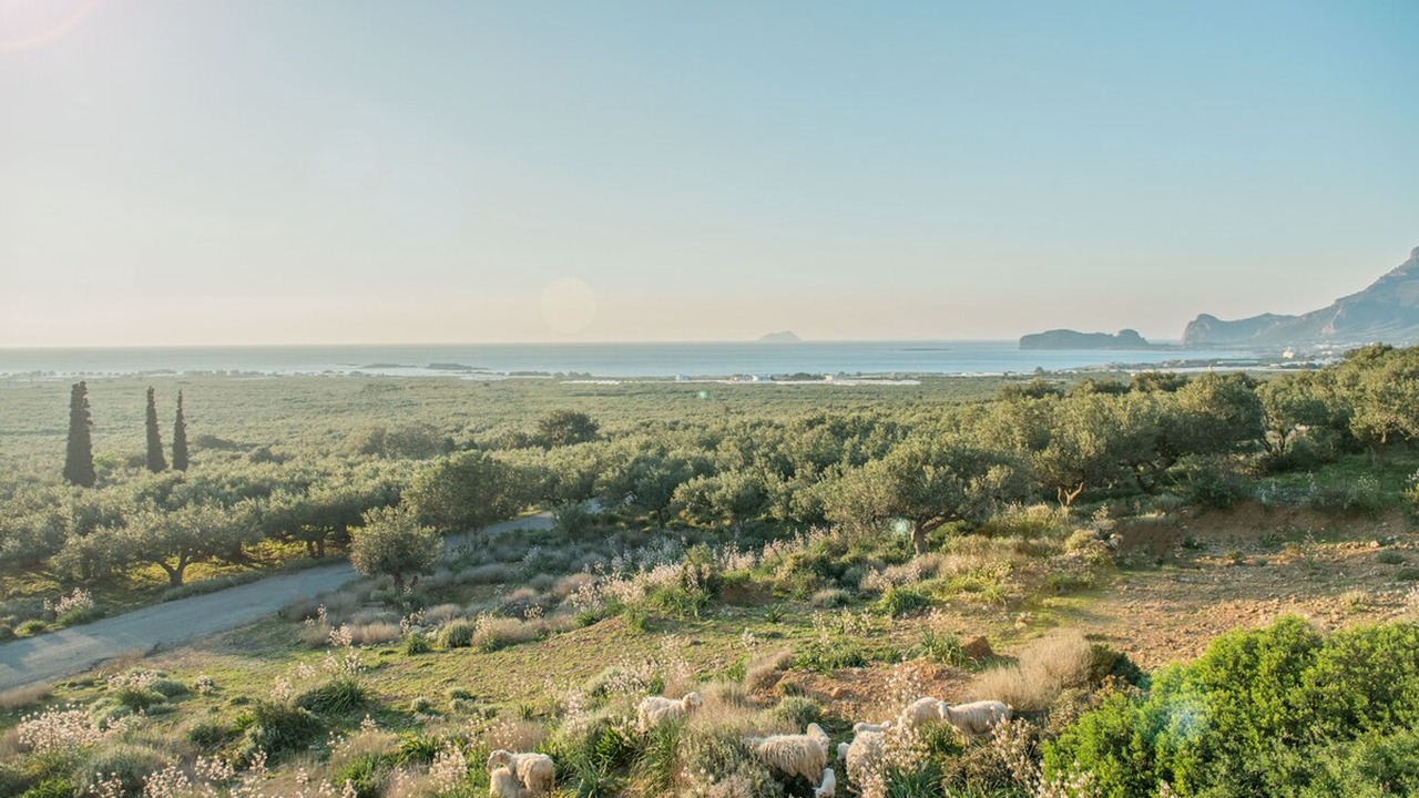 Photo of Others in Limeniskos