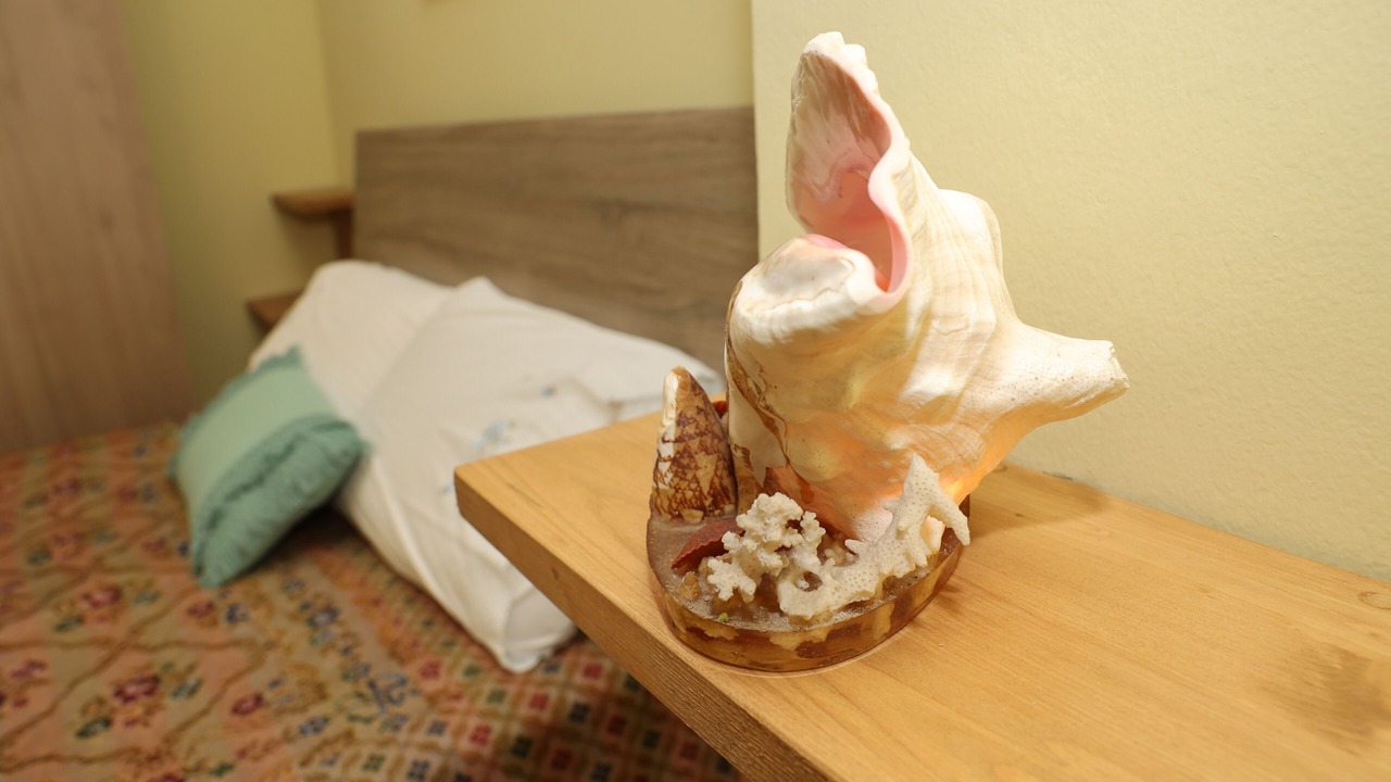 Photo of Bedroom in Trygonas