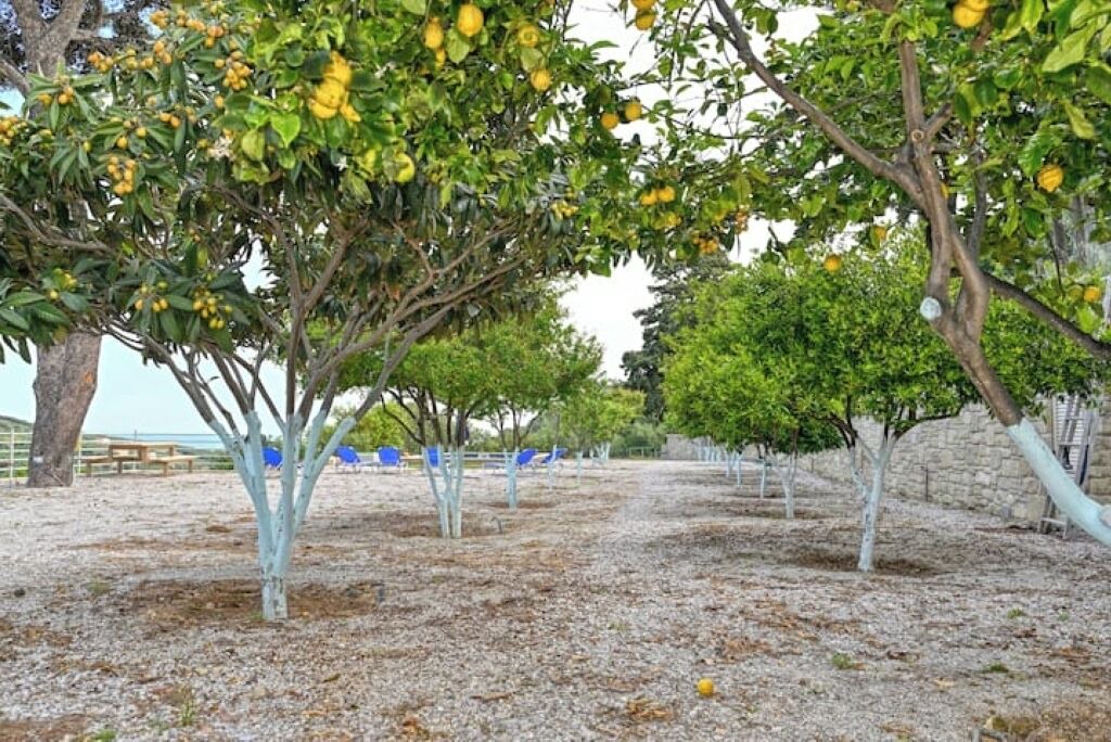 Photo of Outdoor in Kissamos