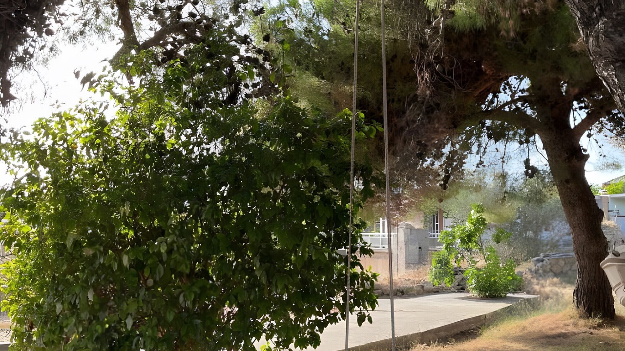 Photo of Outdoor in Mantzavinata