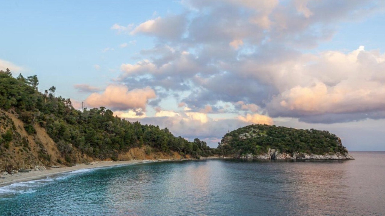 Photo of Others in Elios