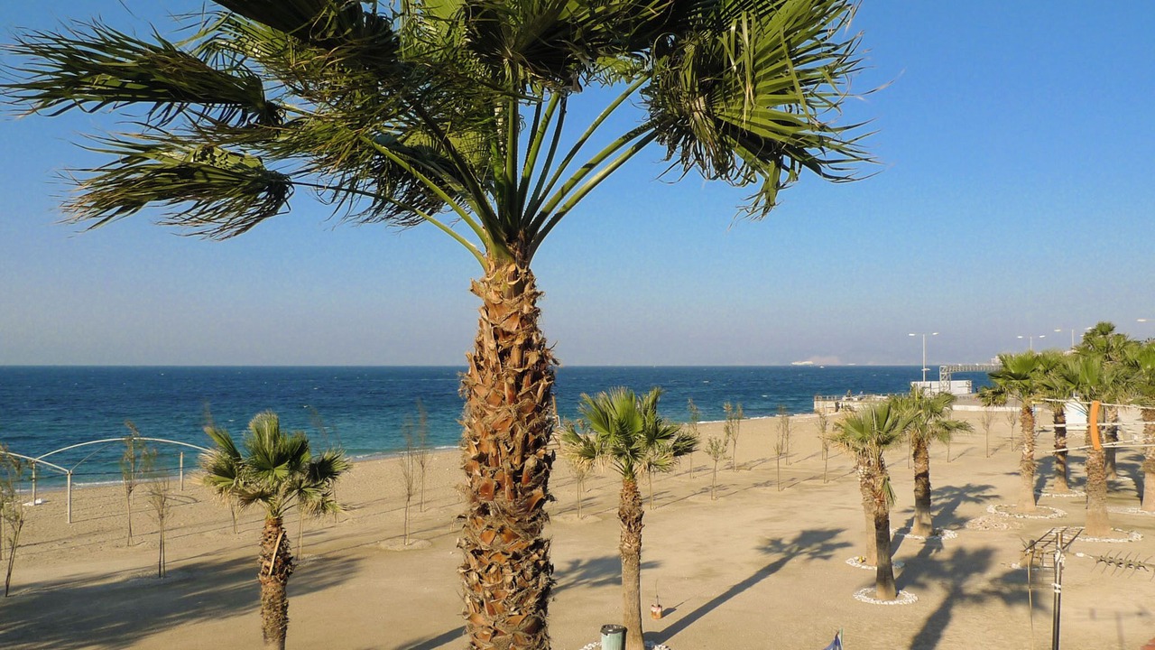 Photo of Others in Palaio Faliro
