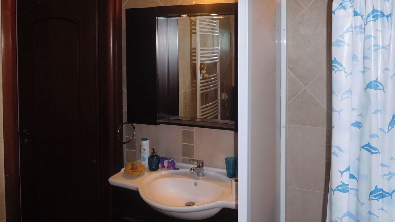 Photo of Bathroom in Salamis