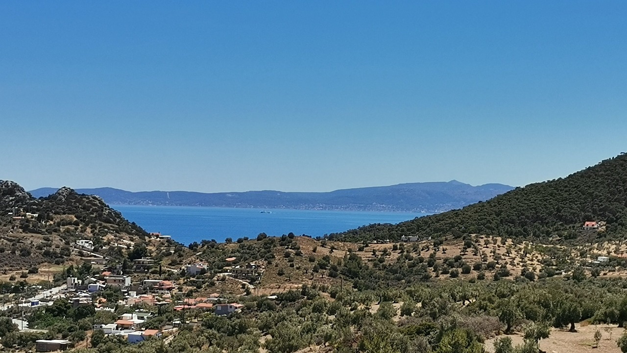 Photo of Others in Salamis