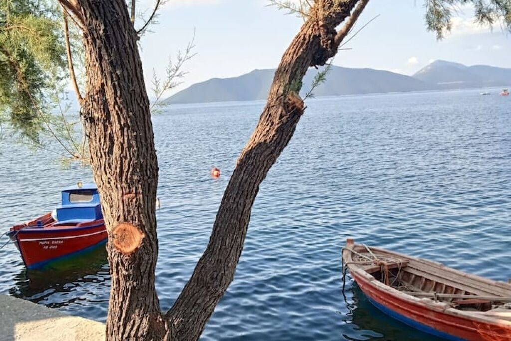 Photo of Others in Trikeri