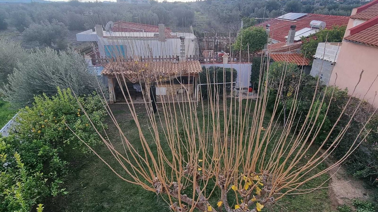 Photo of Outdoor in Nea Peramos