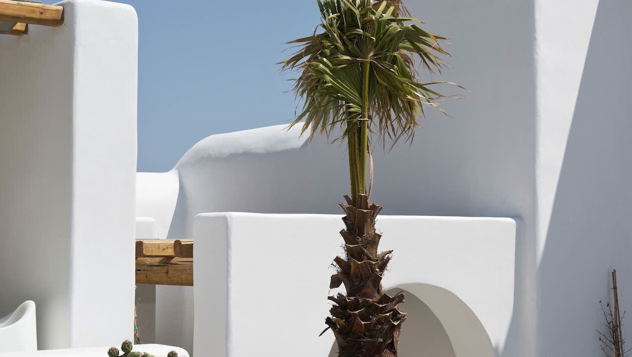 Photo of Others in Tourlos