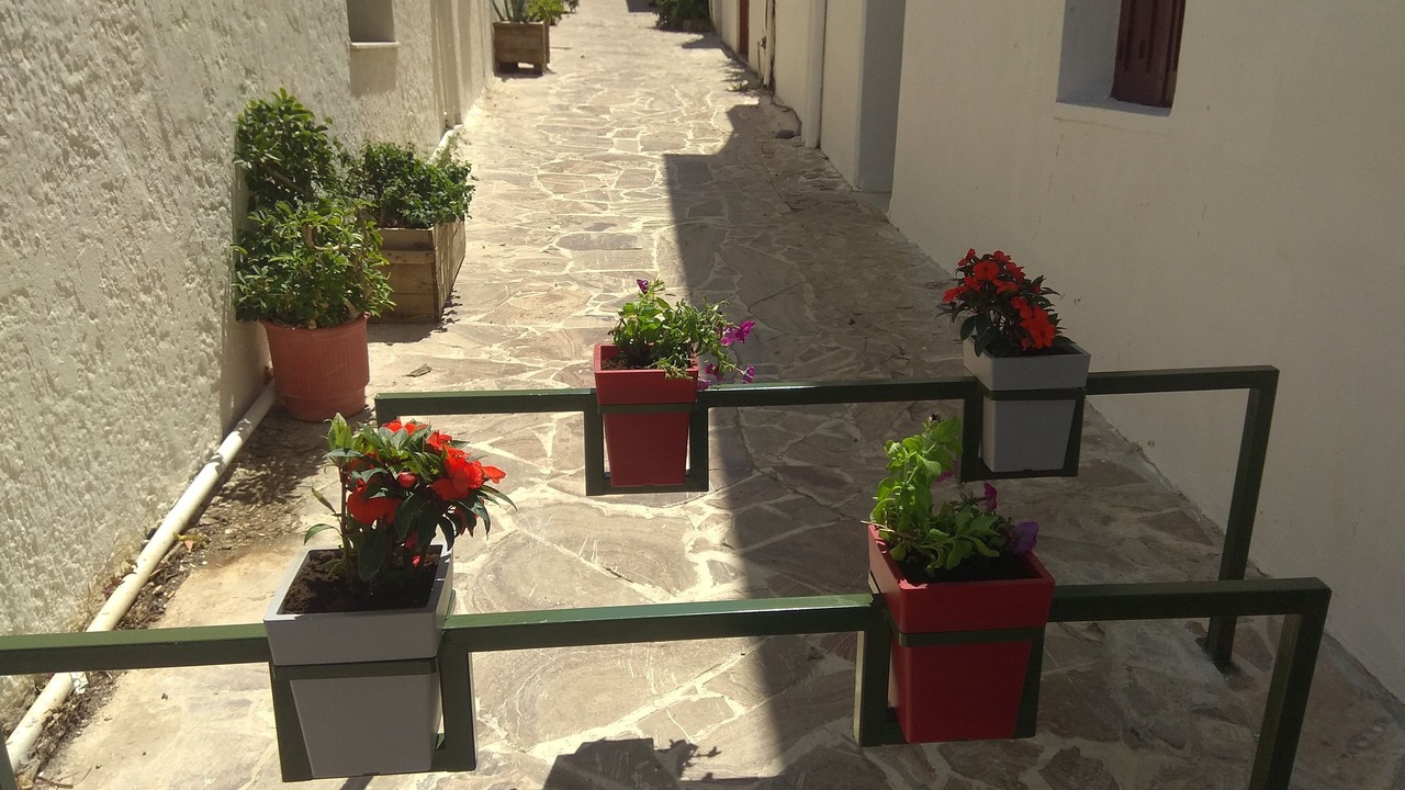 Photo of Outdoor in Limeniskos