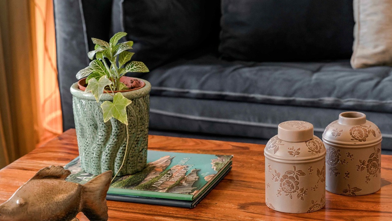 Photo of Livingroom in Manganos