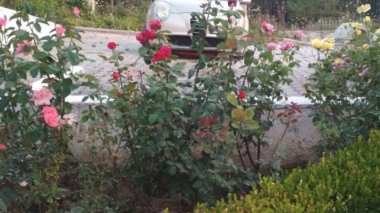Photo of Outdoor in Kallithea