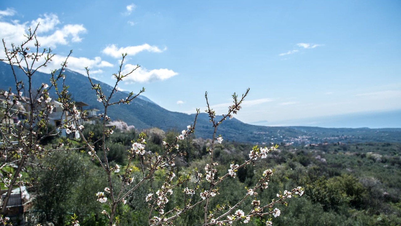 Photo of Others in Tseria