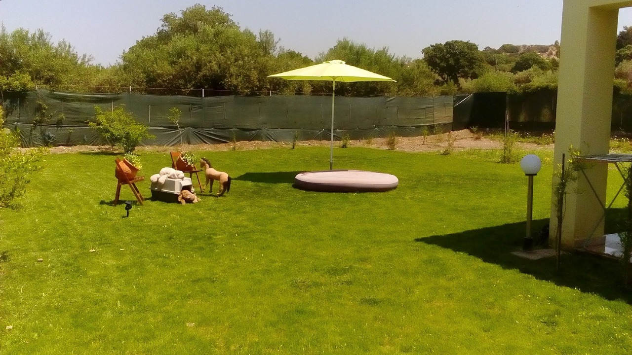 Photo of Outdoor in Theologos