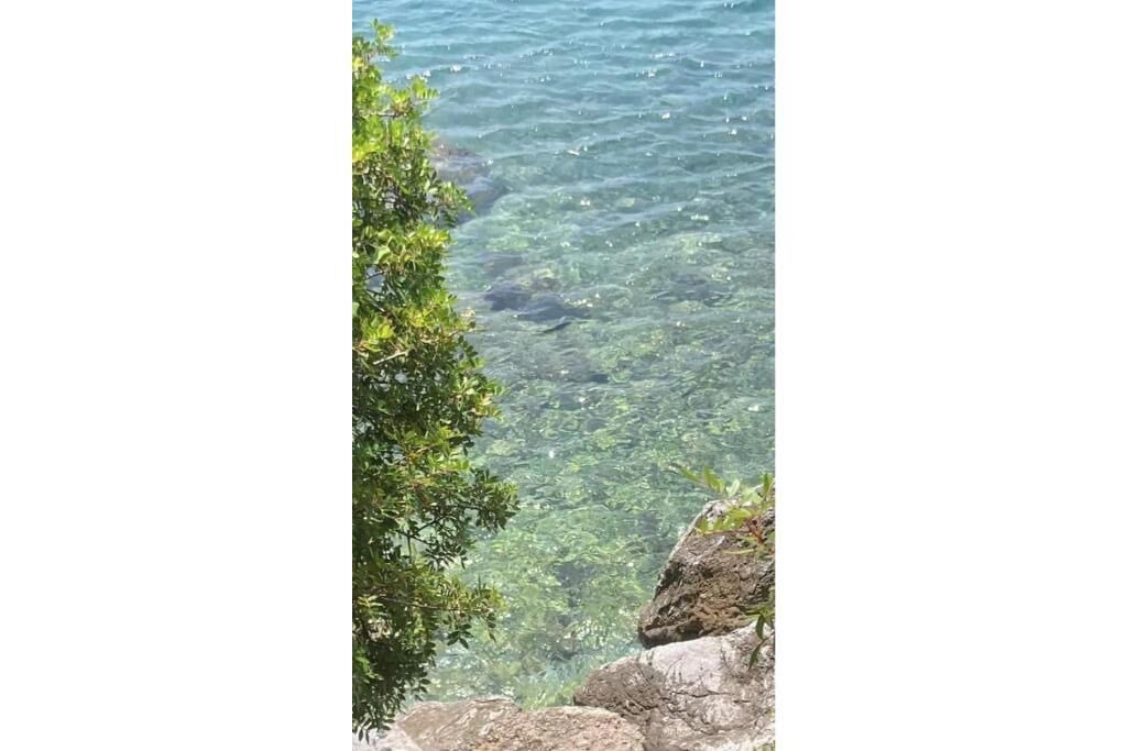 Photo of Others in Paradise Beach