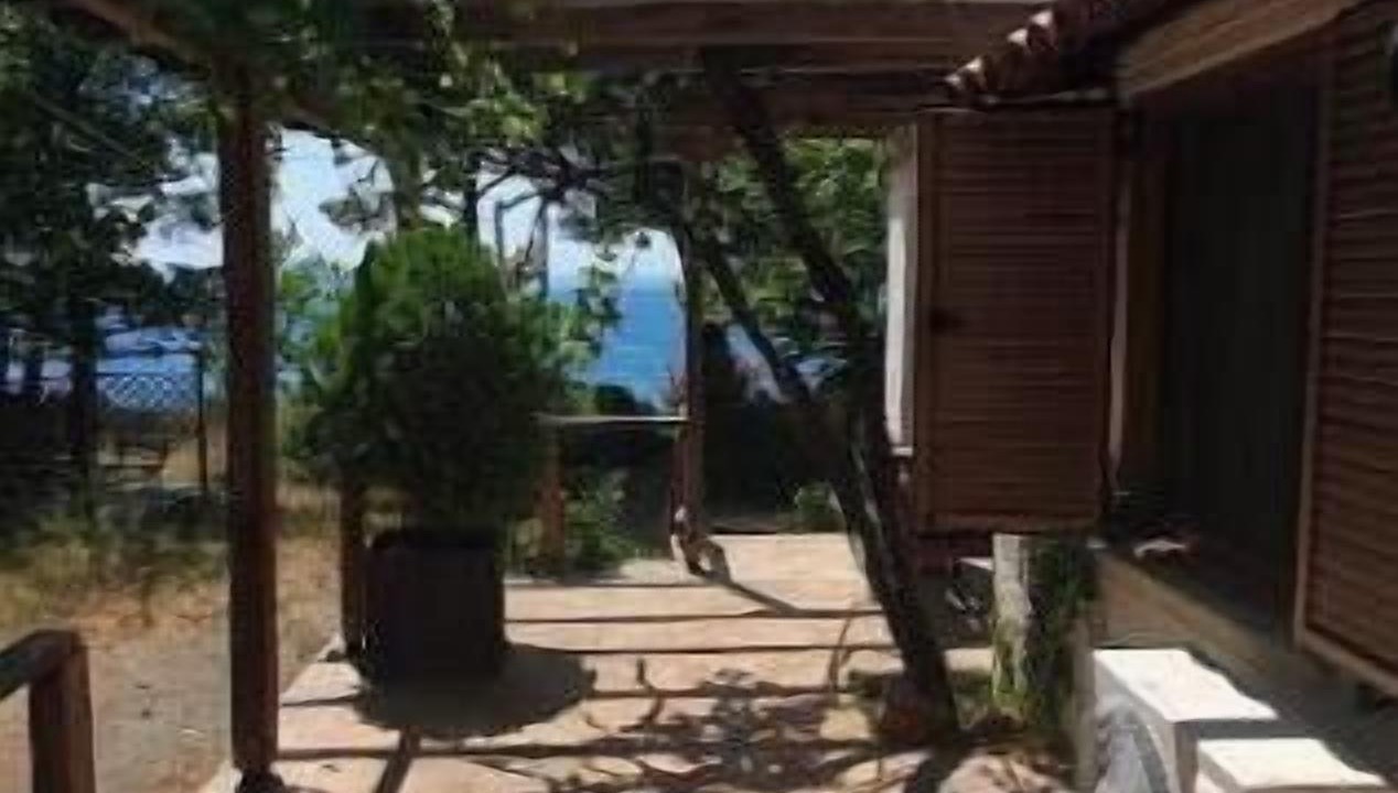 Photo of Patio Balcony in Paradise Beach