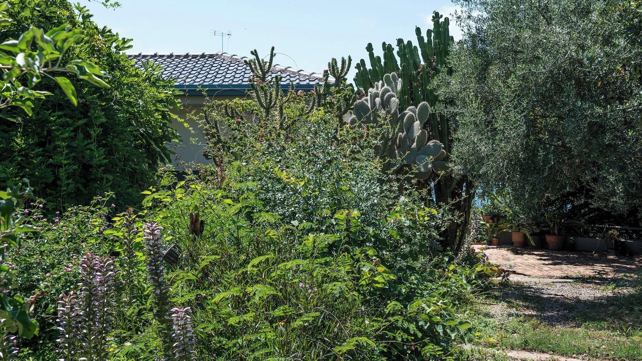 Photo of Outdoor in Halepa