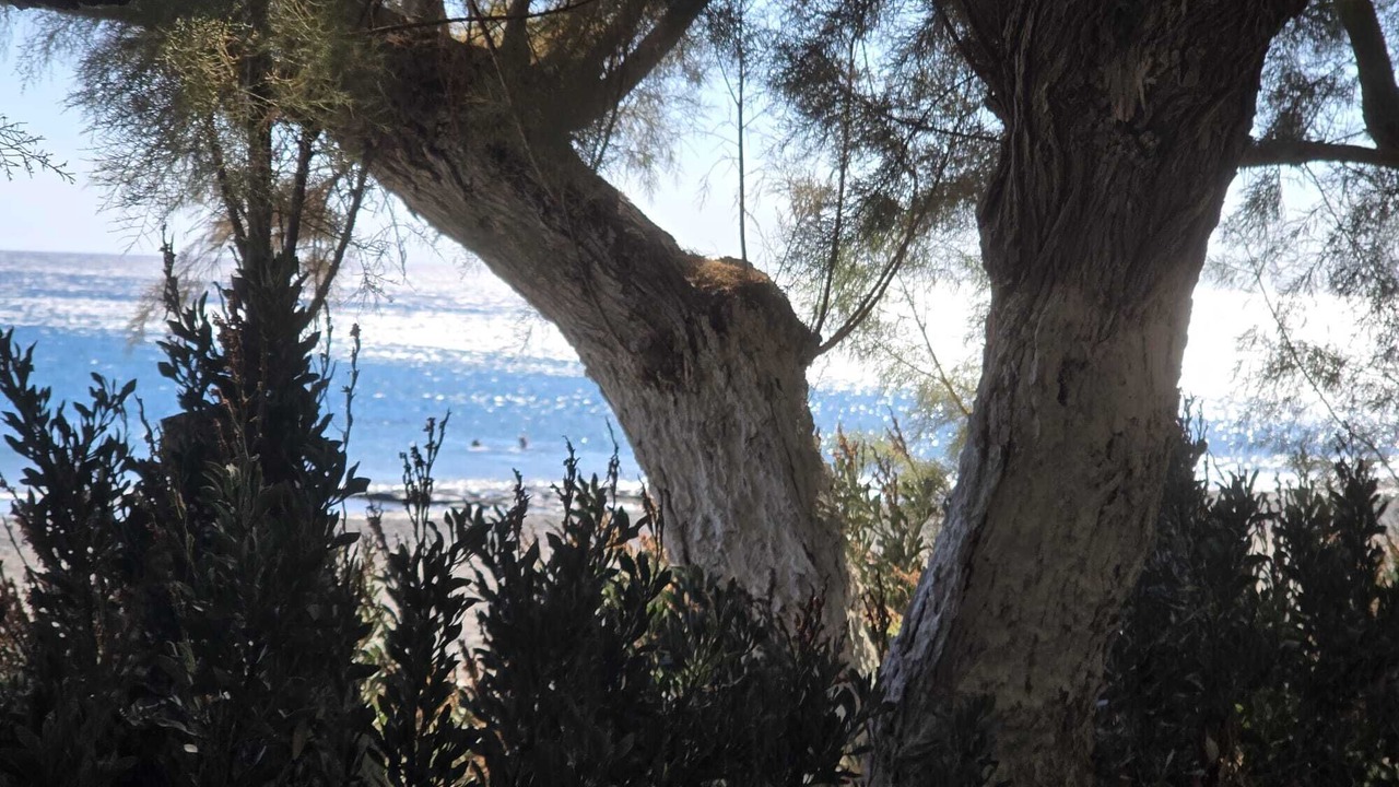 Photo of Others in Ierapetra
