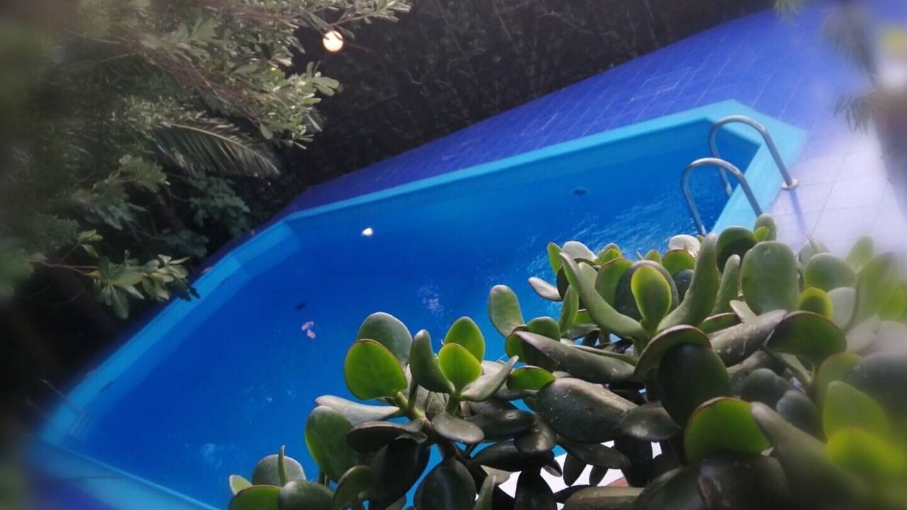 Photo of Outdoor in Markopoulo Mesogaias