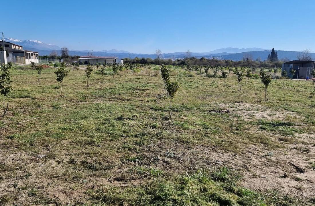 Photo of Others in Arta