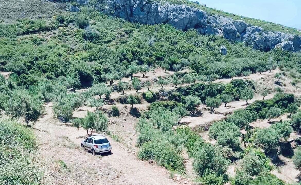 Photo of Others in Voia