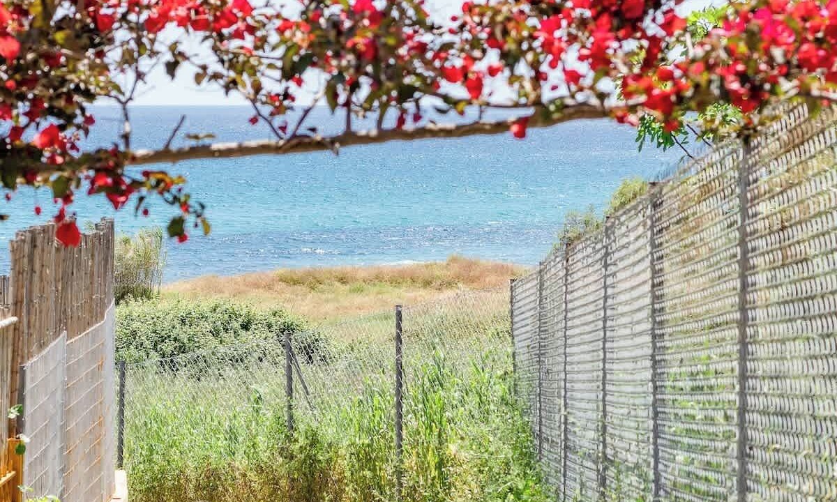 Photo of Others in Koroni