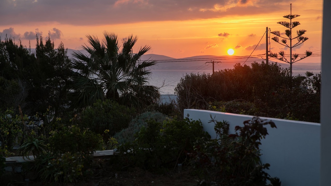 Photo of Outdoor in Stelida