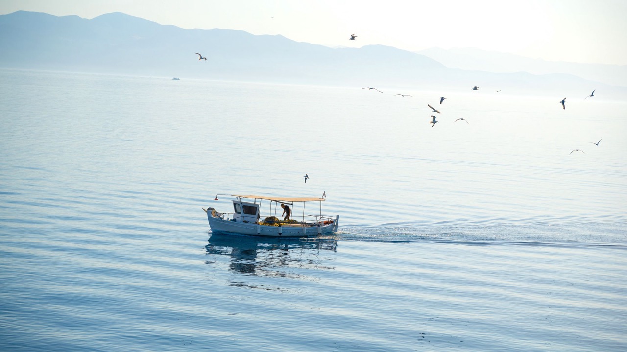 Photo of Others in Gaios