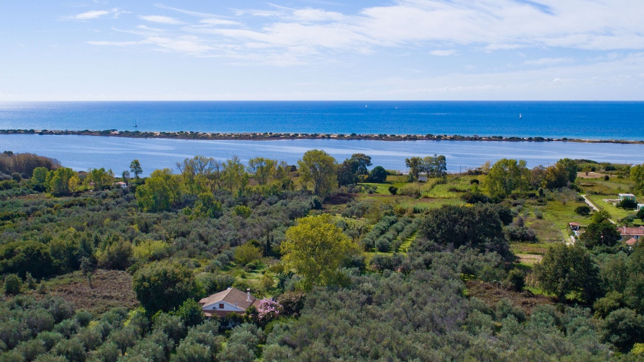 Photo of Others in Chalikounas