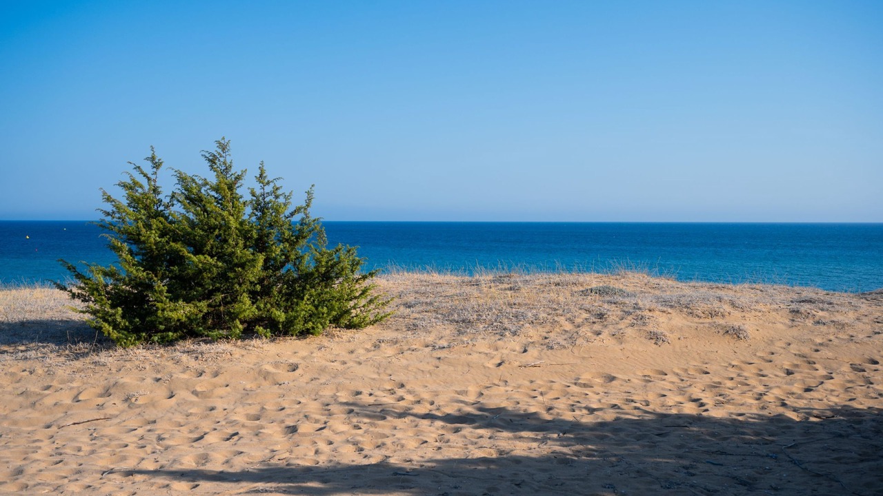 Photo of Others in Chalikounas