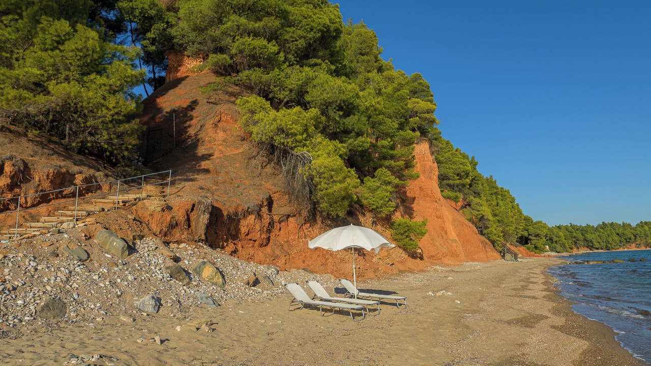 Photo of Others in Metamorfosi