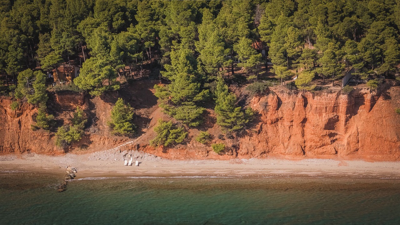 Photo of Others in Metamorfosi