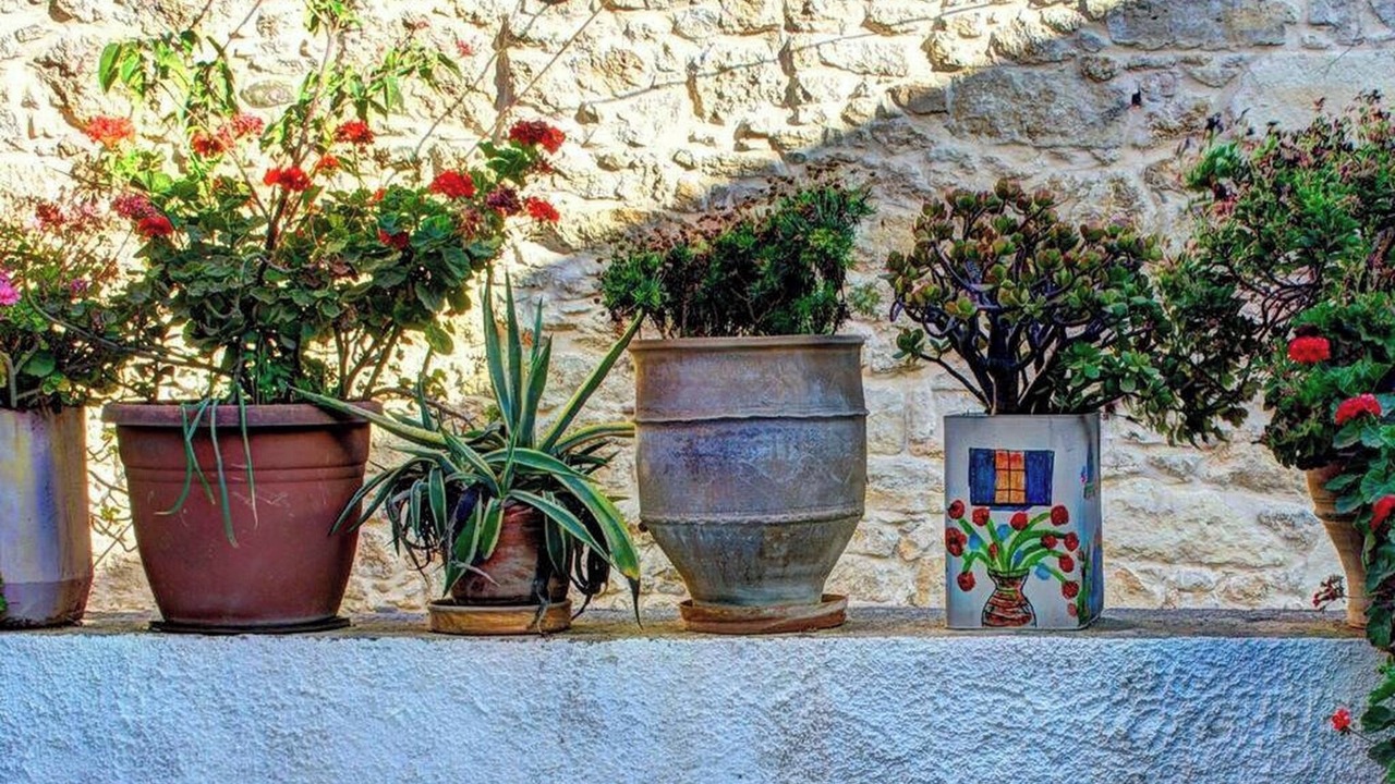 Photo of Others in Vlachiana
