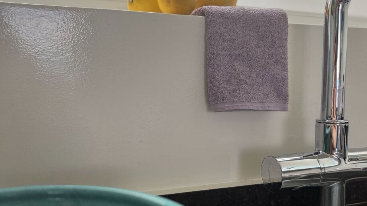 Photo of Others in Stelida