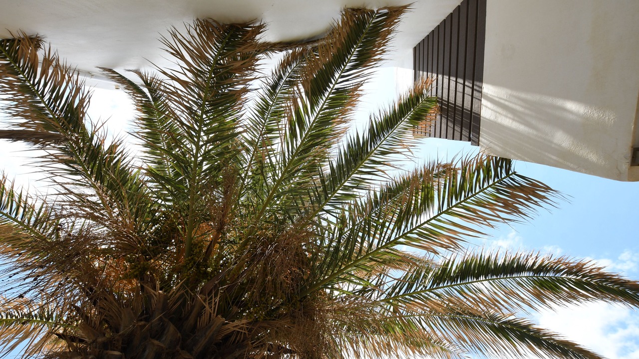 Photo of Outdoor in Aposelemis