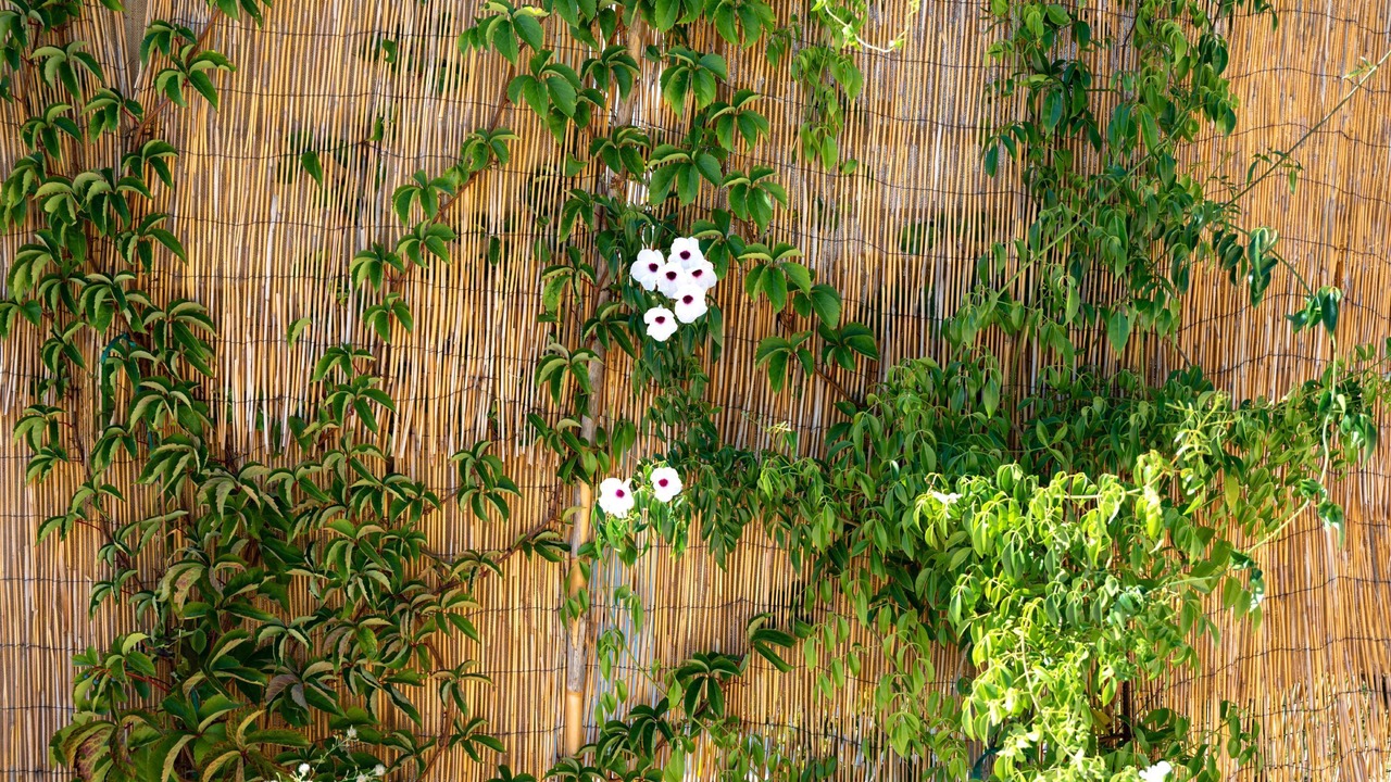 Photo of Outdoor in Karavados