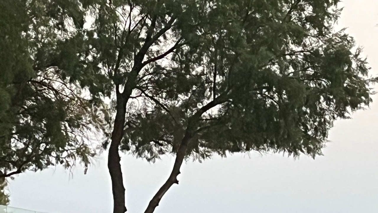 Photo of Patio Balcony in Plomari