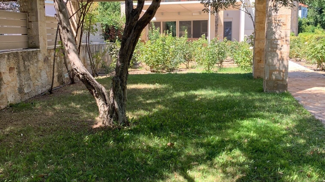 Photo of Outdoor in Plomari