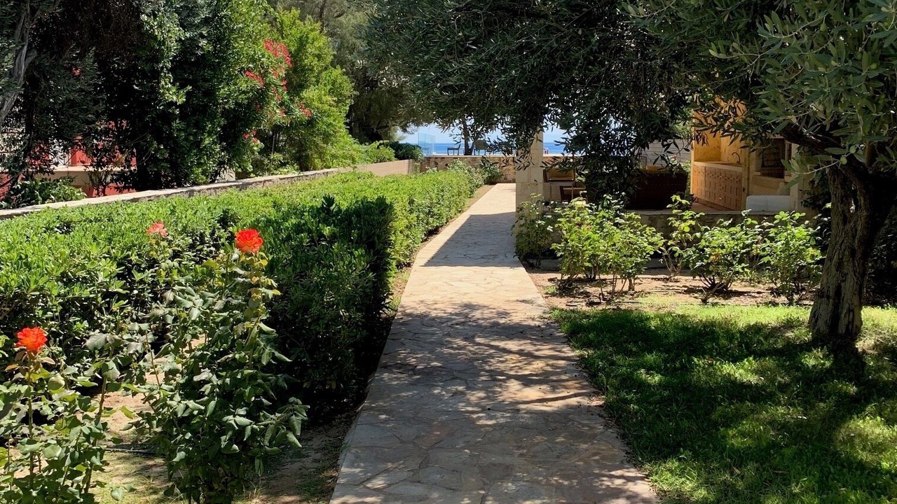 Photo of Outdoor in Plomari
